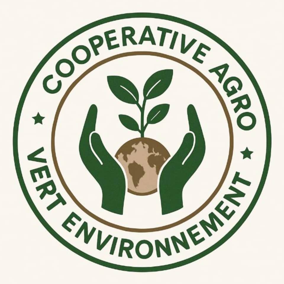 Logo CAVE